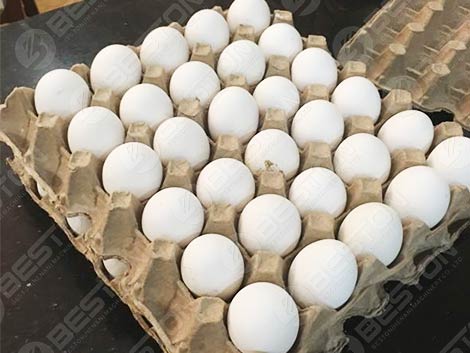 Egg Tray Nigeria