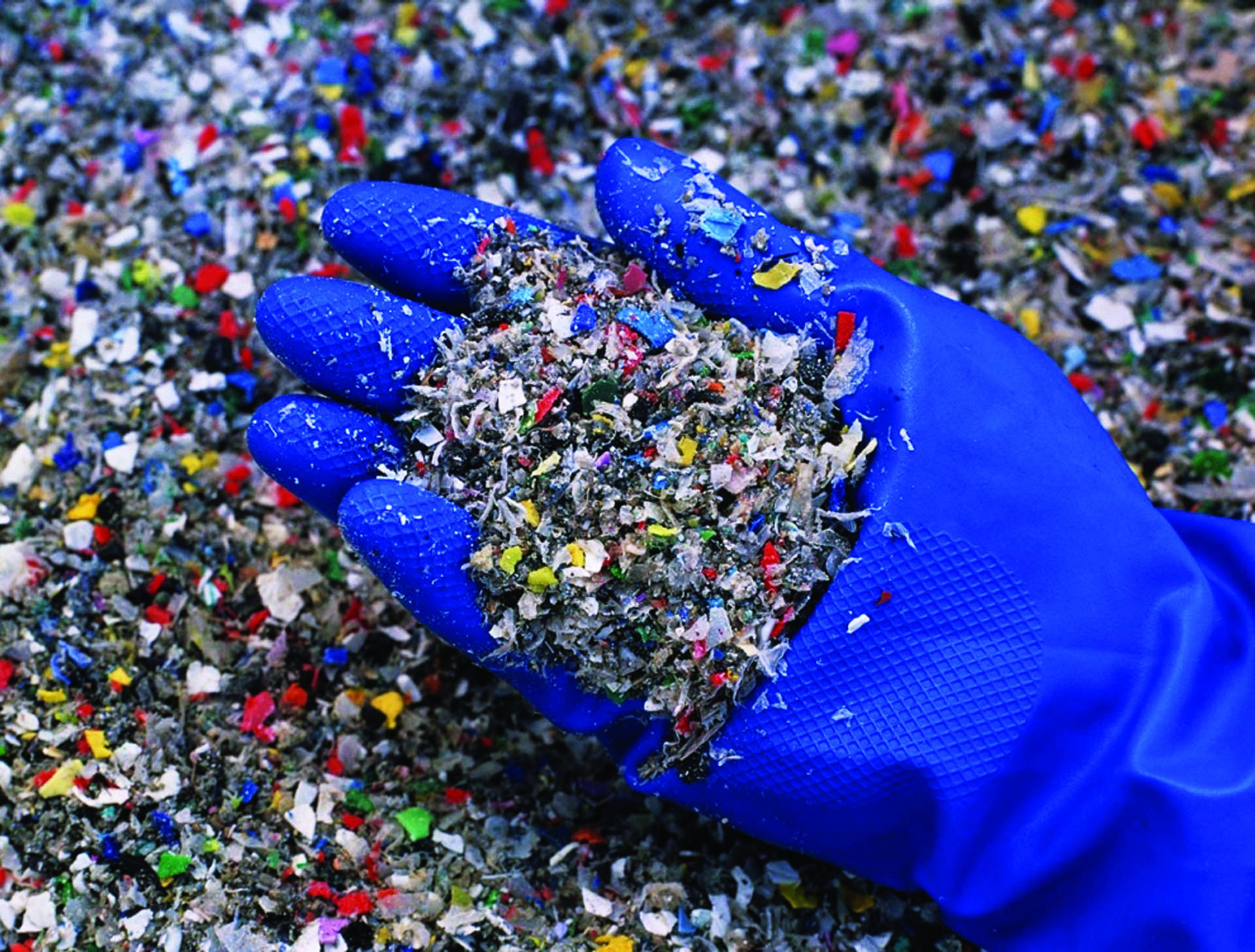 Shredded Plastic Waste